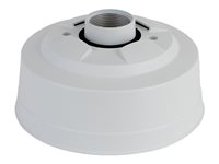 AXIS T94M01D Pendant Kit - Kit de montaje de cámara - instalable en pendiente - exterior - para AXIS AXIS P3245-LVE-3, Q3505-VE, Q3536-LVE, Q3538-LVE 5505-091