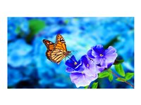 NEC MultiSync UN552VS - 55" Clase diagonal pantalla LCD con retroiluminación LED - señalización digital interactiva - 1080p 1920 x 1080 - LED de iluminación directa - negro 60004524