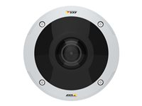 AXIS M3058-PLVE Network Camera - Cámara de vigilancia de red - cúpula - para exteriores - resistente al polvo / resistente al agua / antivandalismo - color (Día y noche) - 12 MP - 3584 x 2668 - 1080p - iris fijo - focal fijado - HDMI - LAN 10/100 - MJPEG, H.264, MPEG-4 AVC - PoE 01178-001
