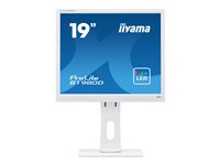 iiyama ProLite B1980D-W1 - monitor LED - 19" B1980D-W1