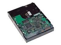 HP - Disco duro - 2 TB - interno - 3.5" - SATA 6Gb/s - 7200 rpm - búfer: 64 MB - para HP 4R, Z2 G4, Z2 G9, z210, Z220, Z230, Z4 G4, Z420, Z6 G4, Z620, Z640 (3.5"), Z8 G4, Z820 QB576AA