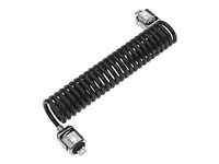 Compulocks Dual Head Coiled Cable Keyed Lock - Bloqueo de cable de seguridad CL02H