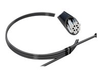 Kensington MicroSaver 2.0 Keyed Laptop Lock - Cable de seguridad - plata - 1.83 m K65020EU