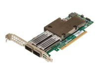 Broadcom NetXtreme E-Series P2100G - Adaptador de red - PCIe 4.0 x16 perfil bajo - 100 Gigabit QSFP56 x 2 BCM957508-P2100G