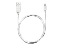 Targus - Cable Lightning - Lightning macho a USB macho - 1 m - blanco - para Apple iPad/iPhone/iPod (Lightning) ACC96101EU