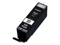 Canon PGI-550PGBK - 15 ml - negro - original - depósito de tinta - para PIXMA iP7250, iP8750, iX6850, MG5550, MG5650, MG6450, MG6650, MG7150, MG7550, MX725, MX925 6496B001