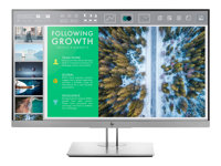 K/HP EliteDisplay E243 Monitor x2 1FH47AAX2