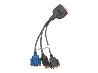 HPE - Juego de cables devídeo / USB / serie - conector SUV de 36 patillas (M) a USB, DB-9, HD-15 - para ProLiant SL230s Gen8, SL250s Gen8, SL270s Gen8, XL220a Gen8 676277-B21