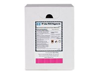 HP FB250 - 3 L - magenta - original - recarga de tinta - para Scitex FB500, FB550, FB700, FB750, FB950 CH217A