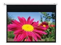 Optoma EGA series DE-1095EGA - Pantalla de proyección - instalable en el techo, instalable en pared - motorizado - 95" (241 cm) - 16:10 - Glass-fibre Matte White DE-1095EGA