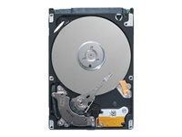 Dell - Disco duro - 2 TB - hot-swap - 3.5" - SAS 12Gb/s - NL - 7200 rpm - para PowerEdge T330 (3.5"), T430 (3.5"); PowerEdge T340 (3.5"), T440 (3.5"), T640 (3.5") 400-AUUQ