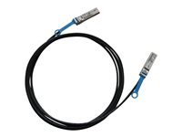 Intel Ethernet SFP+ Twinaxial Cable XDACBL3M - Cable de conexión directa - SFP+ (M) a SFP+ (M) - 3 m - biaxial - para Intel Ethernet SFP+ LR Optics; Ethernet Converged Network Adapter X520, X710 XDACBL3M
