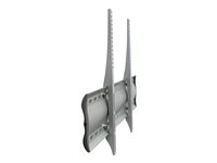 Ergotron WM Low Profile Wall Mount, XL - Kit de montaje (placa de pared, cierres, 2 abrazaderas) - para pantalla plana - aluminio, acero - plata - tamaño de pantalla: desde 42 pulgadas - se puede instalar en la pared 60-602-003